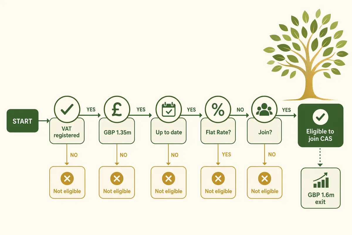 Decision map showing VAT Cash Accounting Scheme eligibility checks including VAT registered, GBP 1.35m threshold, up-to-date returns, Flat Rate Scheme, and GBP 1.6m exit point
